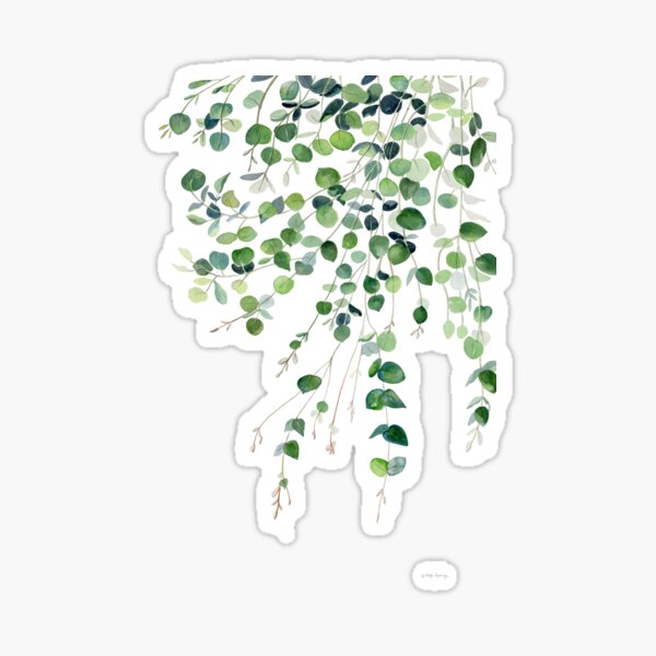 Eukalyptus Aquarell Sticker