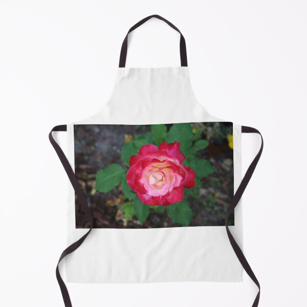 Item preview, Joy, a Rose designed and sold by Christine Wilson Photos.
