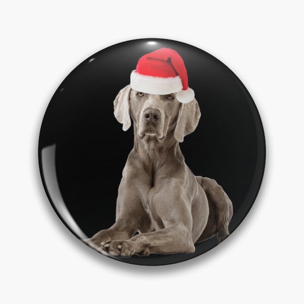 Item preview, Weimaraner Christmas Santa Gift designed and sold by FunShirtDesigns.