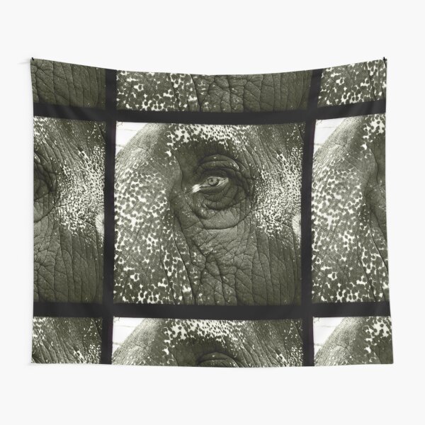 Temple Elephant Eye - India 2012 Tapestry