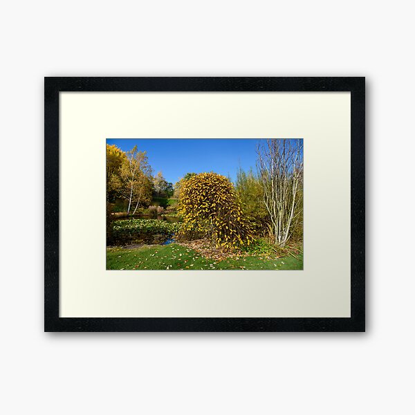 Item preview, Tieve Gardens, Mount Macedon, Victoria, Australia designed and sold by silvtom.