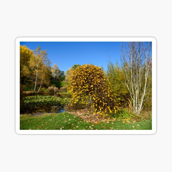 Item preview, Tieve Gardens, Mount Macedon, Victoria, Australia designed and sold by Dream Stellina.