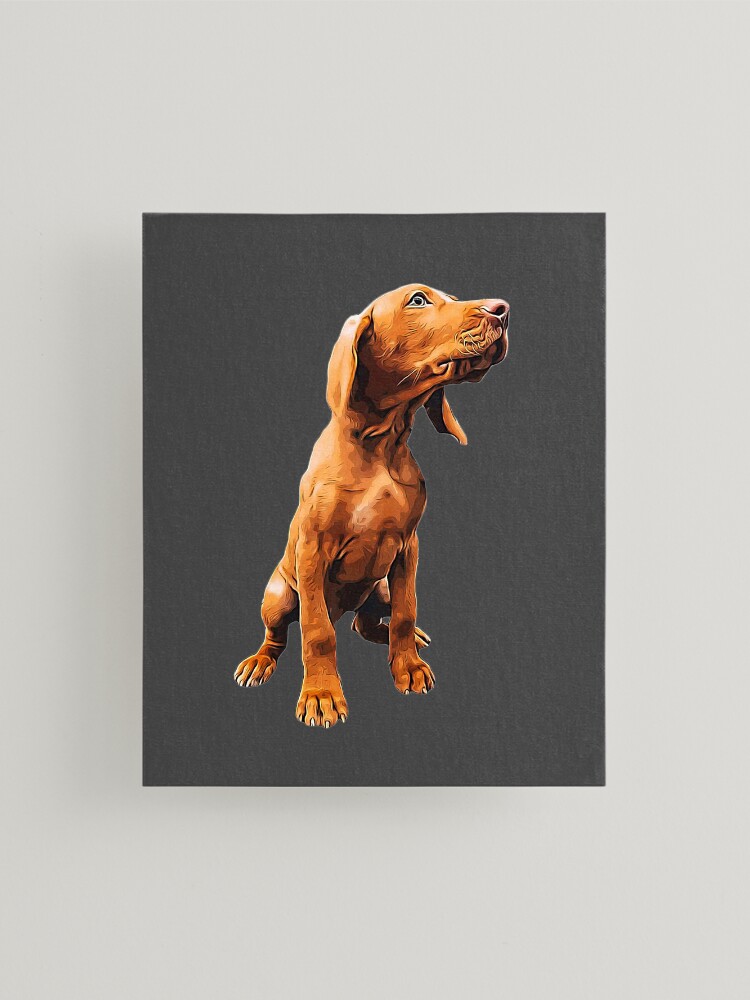 Vizsla best sale wall art