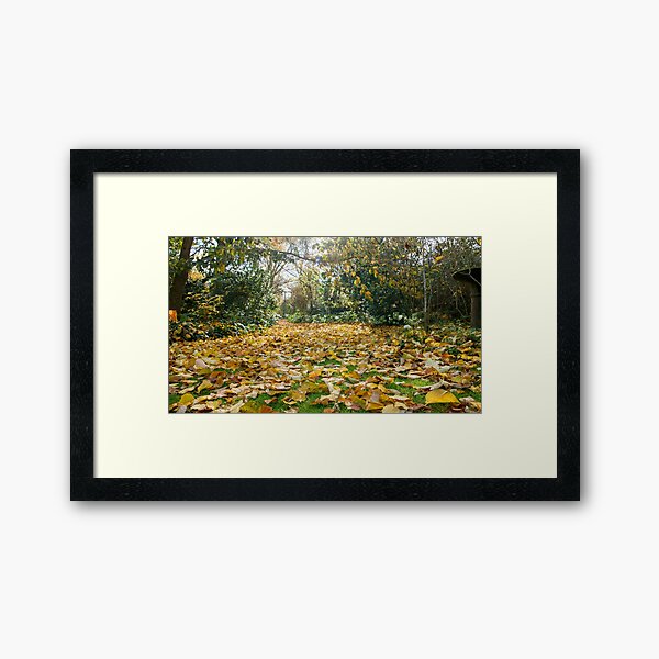 Item preview,  Tieve Gardens, Mount Macedon, Victoria, Australia designed and sold by silvtom.