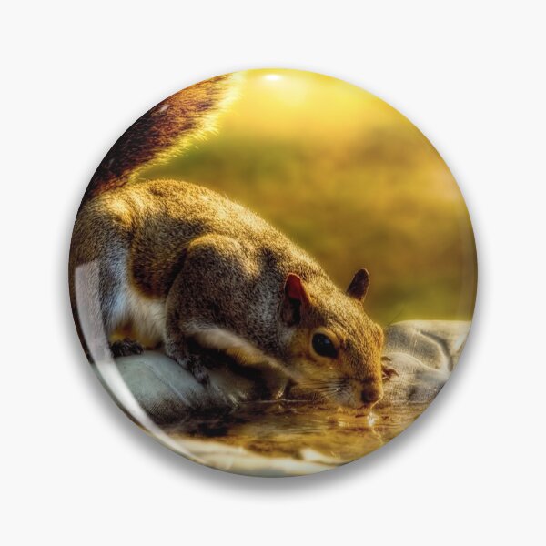 Item preview, The Squirrel designed and sold by Kay Brewer.