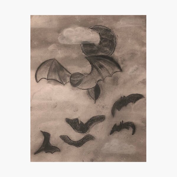 Bats in Flight Photographic Print
