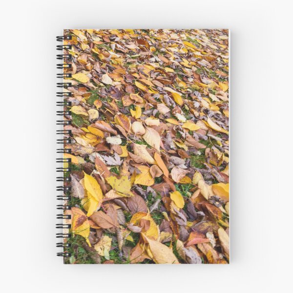 Item preview, Tieve Gardens, Mount Macedon, Victoria, Australia designed and sold by Dreamscape Eclectic .