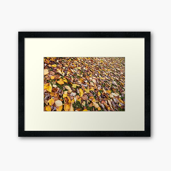 Item preview, Tieve Gardens, Mount Macedon, Victoria, Australia designed and sold by silvtom.