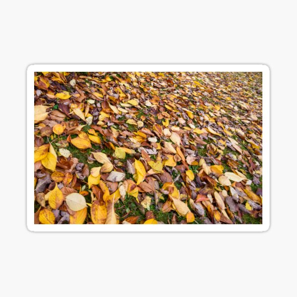 Item preview, Tieve Gardens, Mount Macedon, Victoria, Australia designed and sold by Dream Stellina.
