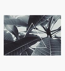 Reminder Photographic Print