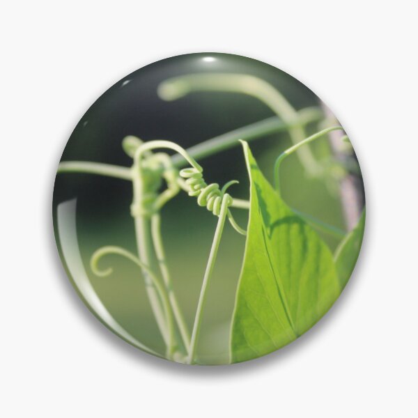 Item preview, Snap Pea Plant designed and sold by sophiecrangle.