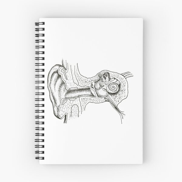 Item preview, Ear Anatomy  designed and sold by JennDaddi.