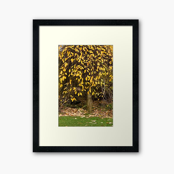 Item preview, Tieve Gardens, Mount Macedon, Victoria, Australia designed and sold by silvtom.