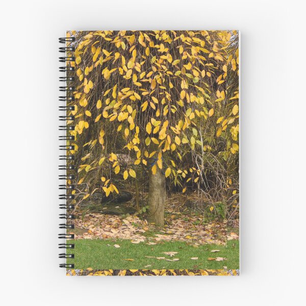 Item preview, Tieve Gardens, Mount Macedon, Victoria, Australia designed and sold by Dreamscape Eclectic .