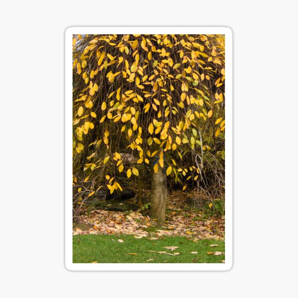 Item preview, Tieve Gardens, Mount Macedon, Victoria, Australia designed and sold by Dream Stellina.