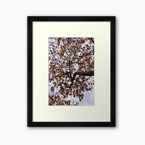 Item preview,  Tieve Gardens, Mount Macedon, Victoria, Australia designed and sold by silvtom.