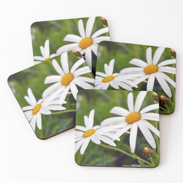 Item preview, Daisy Dew designed and sold by Deborah Clearwater.