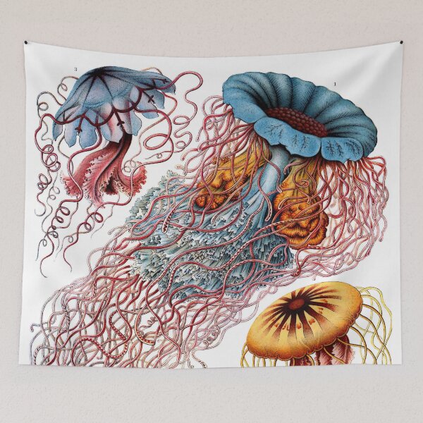 Item preview, The Medusa designed and sold by CRHerrera.