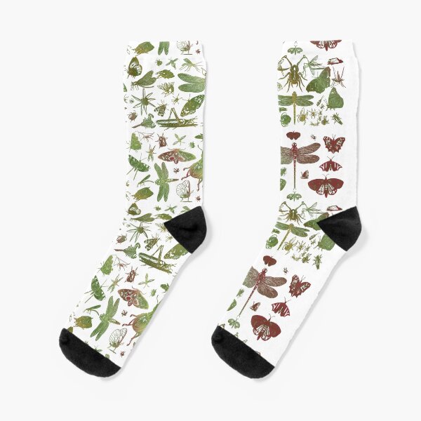 Insect World - Entomology Socks