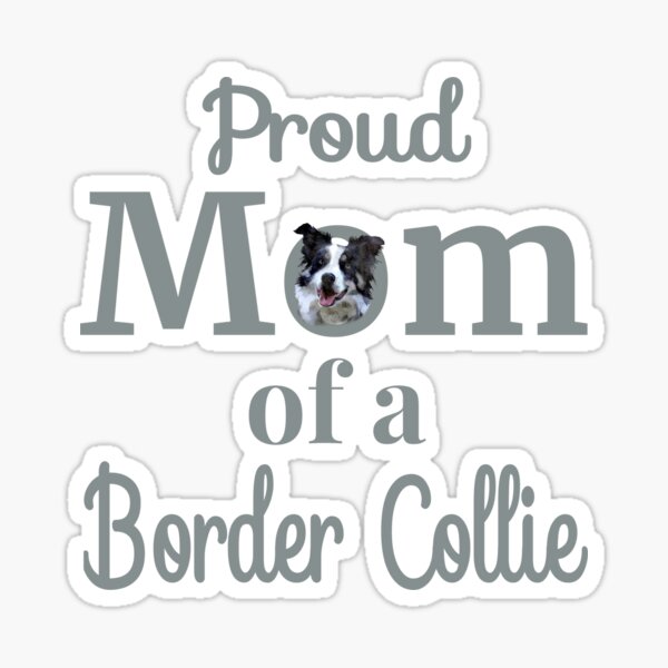 Proud Mom of a Border Collie Sticker