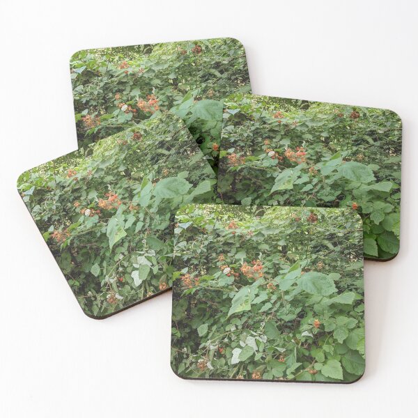 Item preview, Wild Raspberry Bush designed and sold by Jeremy Schwartz.