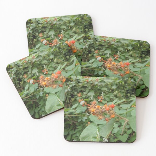 Item preview, Wild Raspberries designed and sold by Jeremy Schwartz.