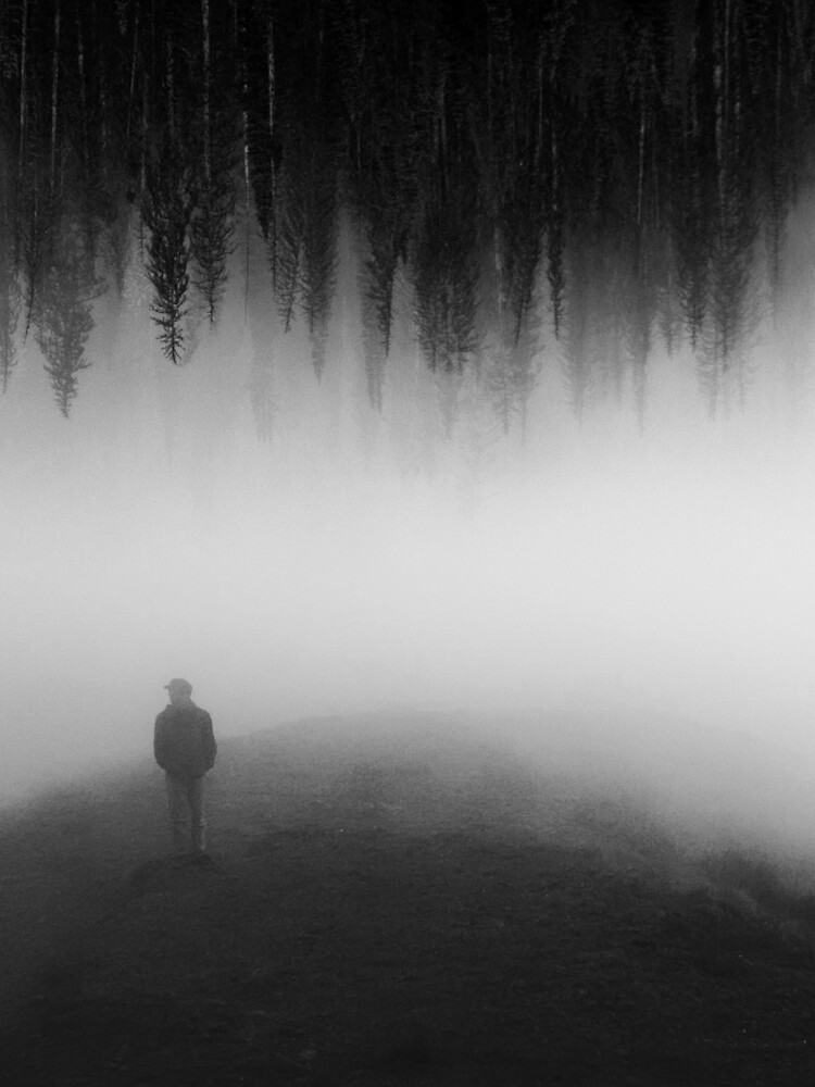 A Dream Wanderer by sublimenation