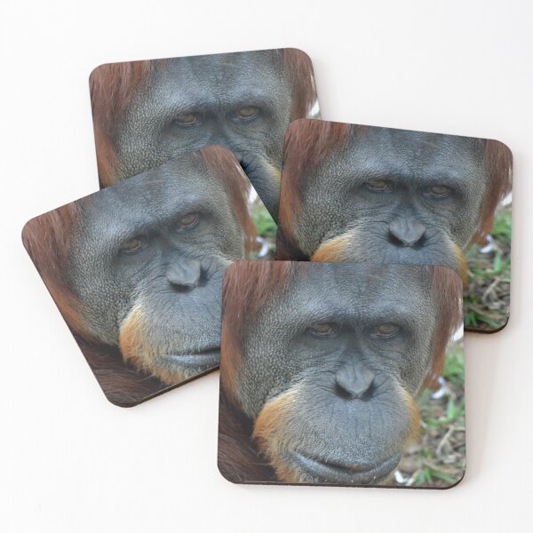 Item preview, Puteri designed and sold by Deborah Clearwater.