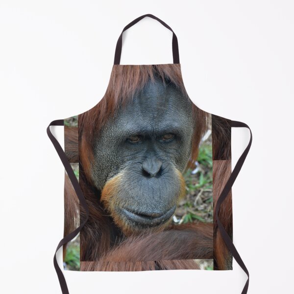 Item preview, Puteri designed and sold by Deborah Clearwater.