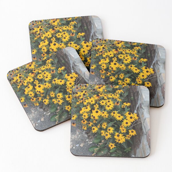Item preview, Urban Black Eyed Susans Growing in Downtown Huntsville (Unedited) designed and sold by Silver Sky by Janet.