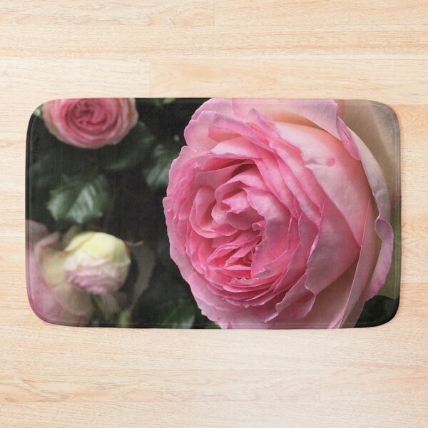 Item preview, Pierre de Ronsard, RTBG, November 2020, nipaluna/Hobart designed and sold by RoseAromas.