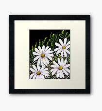 Daisy Patch Framed Print
