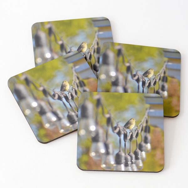 Item preview, Goldfinch And String Of Lights Photography By Concetta Ellis designed and sold by concettaellis.