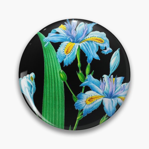Item preview, Butterfly Flower Iris Fimbriata designed and sold by domdjs4239.
