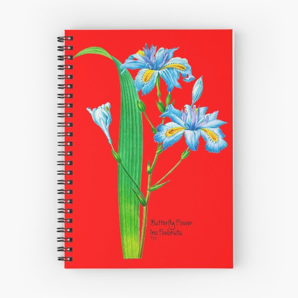 Item preview, Butterfly Flower Iris Fimbriata designed and sold by domdjs4239.