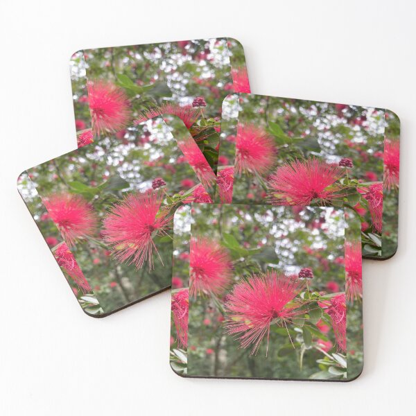 Item preview, ohiʻa haʻole eucalyptus flower calliandra hawaii botanical garden designed and sold by maplunk.