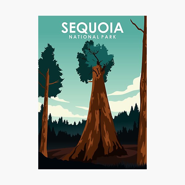 Sequoia National Park Vintage Minimal Travel Poster Photographic Print