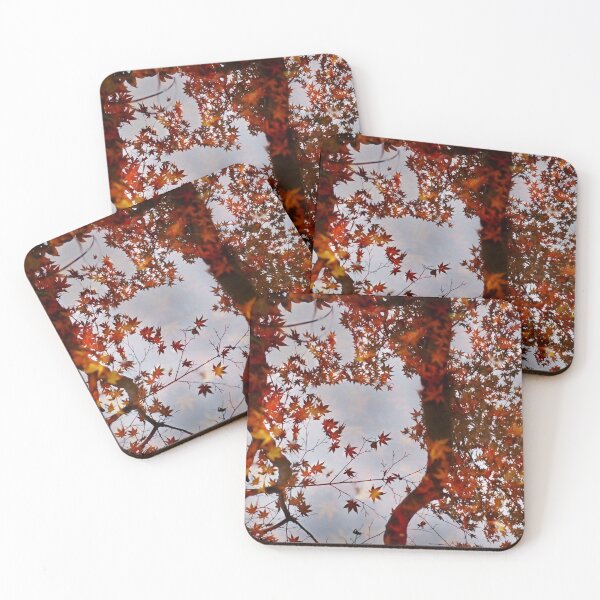 Item preview, Autumnal reflection  designed and sold by DerekEntwistle.
