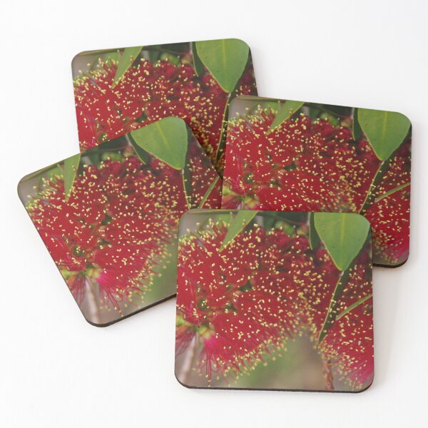 Item preview, Callistemon - bottlebrush flower designed and sold by lezvee.