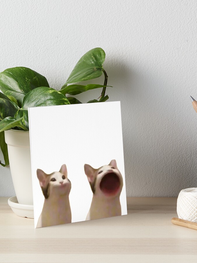 Popping Cat Meme  Photographic Print for Sale by Merch-On