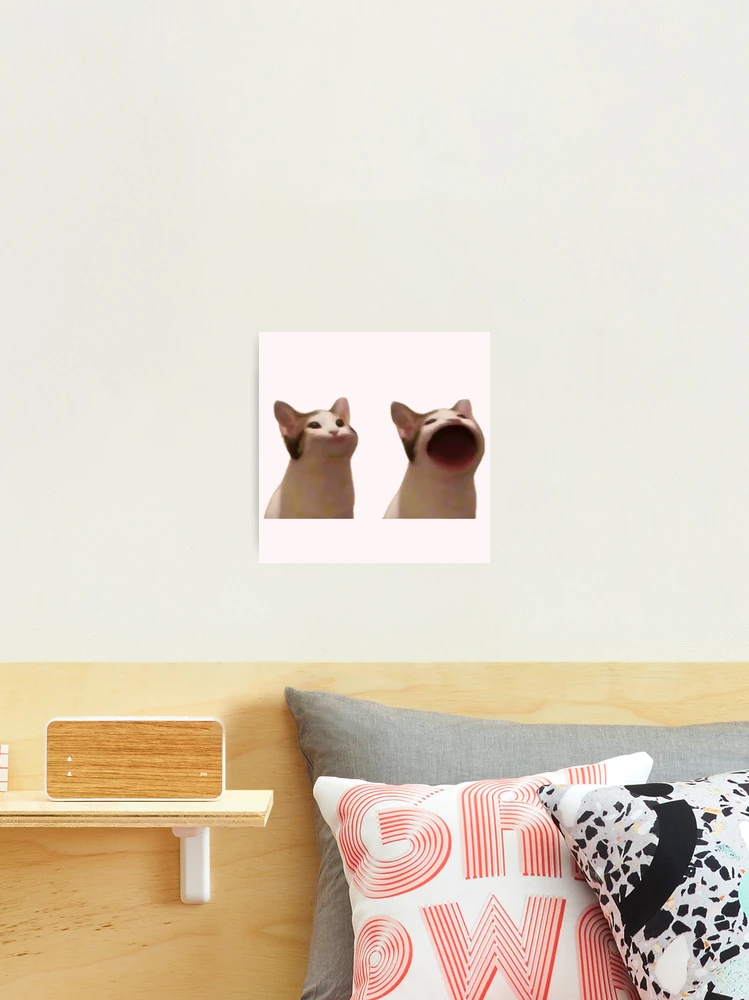 Popping Cat Meme  Photographic Print for Sale by Merch-On