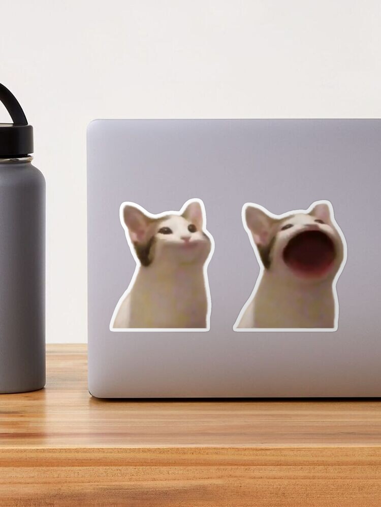 Popping Cat Meme  Photographic Print for Sale by Merch-On