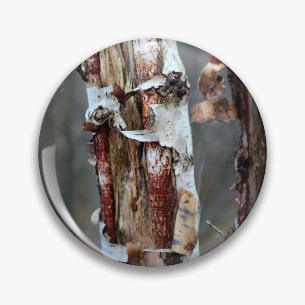 Item preview, Birch bark in the woods designed and sold by chihuahuashower.