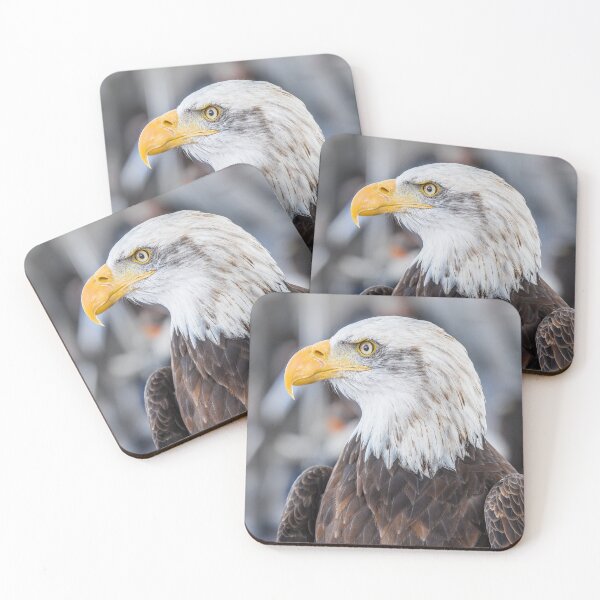 Item preview, Eagle focused shot of a majestic eagle on a winter day designed and sold by Carla Nay.
