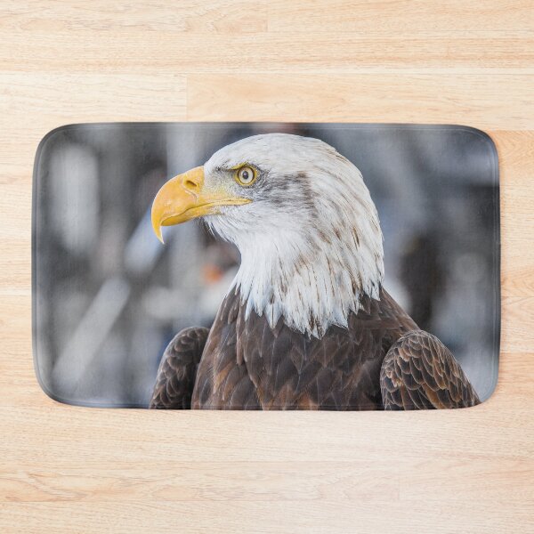 Item preview, Eagle focused shot of a majestic eagle on a winter day designed and sold by Carla Nay.