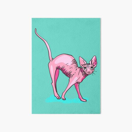 "Neon Pink Elegant Hairless Sphynx Cat - Nude Wrinkly Kitty" Art Board
