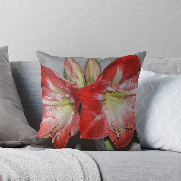 Item preview, Amaryllis designed and sold by AnnDixon.