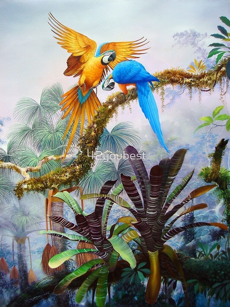 Macaw | Parrot painting, Parrots art, Parrot drawing