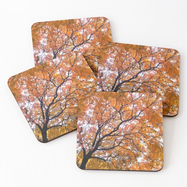 Item preview, Orange and Yellow Fall Leaves Tree - Prague, Czech Republic designed and sold by passportpaige.