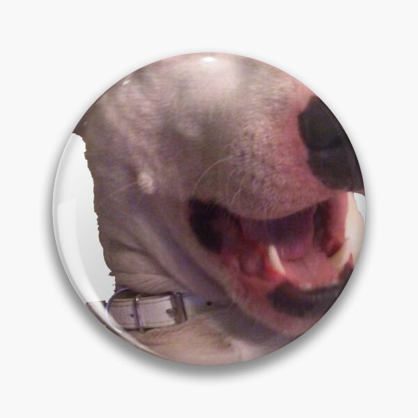 Item preview, Excited Walter Meme designed and sold by Trumpsyy.
